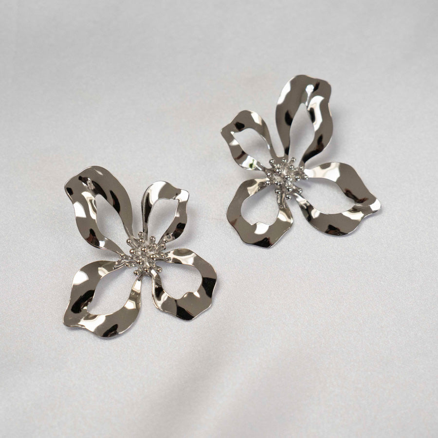 Grote stainless steel oorbellen in het zilver